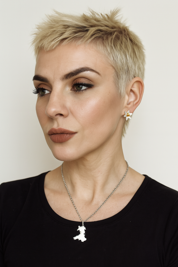 Stainless Steel Map of Wales Necklace - 2 Colours - 2 options - Image 4